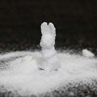 SUGAR BUNNY - Close Up Magic -- New Arrival