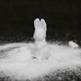 SUGAR BUNNY - Close Up Magic -- New Arrival