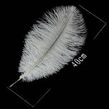 Ostrich Feathers For Appearing Cane and Vanish Cane - Stage Magic