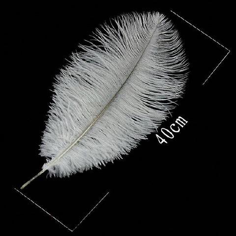Ostrich Feathers For Appearing Cane and Vanish Cane - Stage Magic