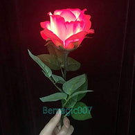 Stage Magic Tricks Light Rose - Remote Control, Magic Props,Party Tricks