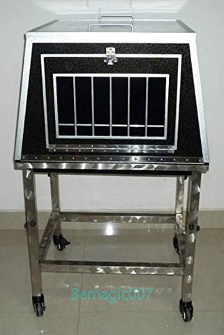 Illusions Magic Tricks Girl Appearing from Cage (2 in 1)