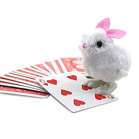 Card Tricks Magic Smart Rabbit