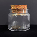 Perfect Coin in Bottle -- Close Up Magic, Coin Magic, Magic Trick-New Arrival-- New Arrival