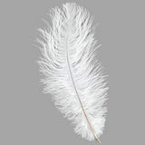 Ostrich Feathers For Appearing Cane and Vanish Cane - Stage Magic