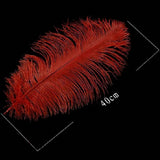 Ostrich Feathers For Appearing Cane and Vanish Cane - Stage Magic