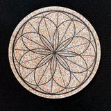 ROLLER COASTER - Coin Magic, Close Up Magic-- New Arrival