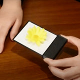 Flick! Whiteboard - Coin&Money Magic Close Up Magic-- New Arrival
