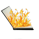 Dove & Fire Book - Fire Magic -- New Arrival