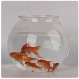 Appearing fish tank - Close Up Magic Stage Magic --  New Arrival