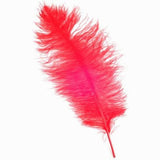 Ostrich Feathers For Appearing Cane and Vanish Cane - Stage Magic
