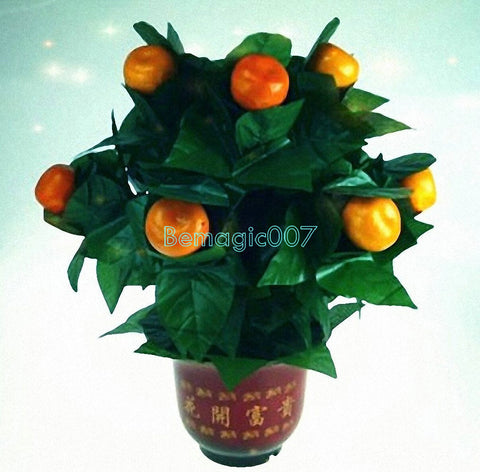 10 Blooming Oranges - Remote Control -- Stage Magic - Bemagic
