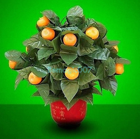 15 Blooming Oranges - Remote Control -- Stage Magic - Bemagic