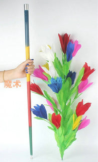 Cane to Flower -- Silk & Cane Magic - Bemagic