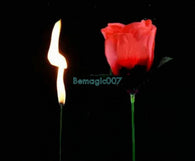 2 pcs Fire Rose -TORCH TO ROSE - Fire Magic - Bemagic
