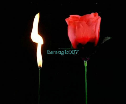 2 pcs Fire Rose -TORCH TO ROSE - Fire Magic - Bemagic