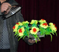 New Air disc flowers (brazier out flower) -- Stage Magic - Bemagic