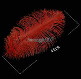 Ostrich Feathers For Appearing Cane and Vanish Cane -- Silk & Cane Magic - Bemagic