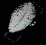 Ostrich Feathers For Appearing Cane and Vanish Cane -- Silk & Cane Magic - Bemagic