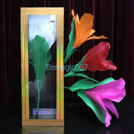 Transparent Tube Appearing Flowers -- Stage Magic - Bemagic