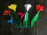 Appearing Bouquets & Color Changing -- Stage Magic
